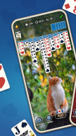 Daily Spider Solitaire Classic APK screenshot