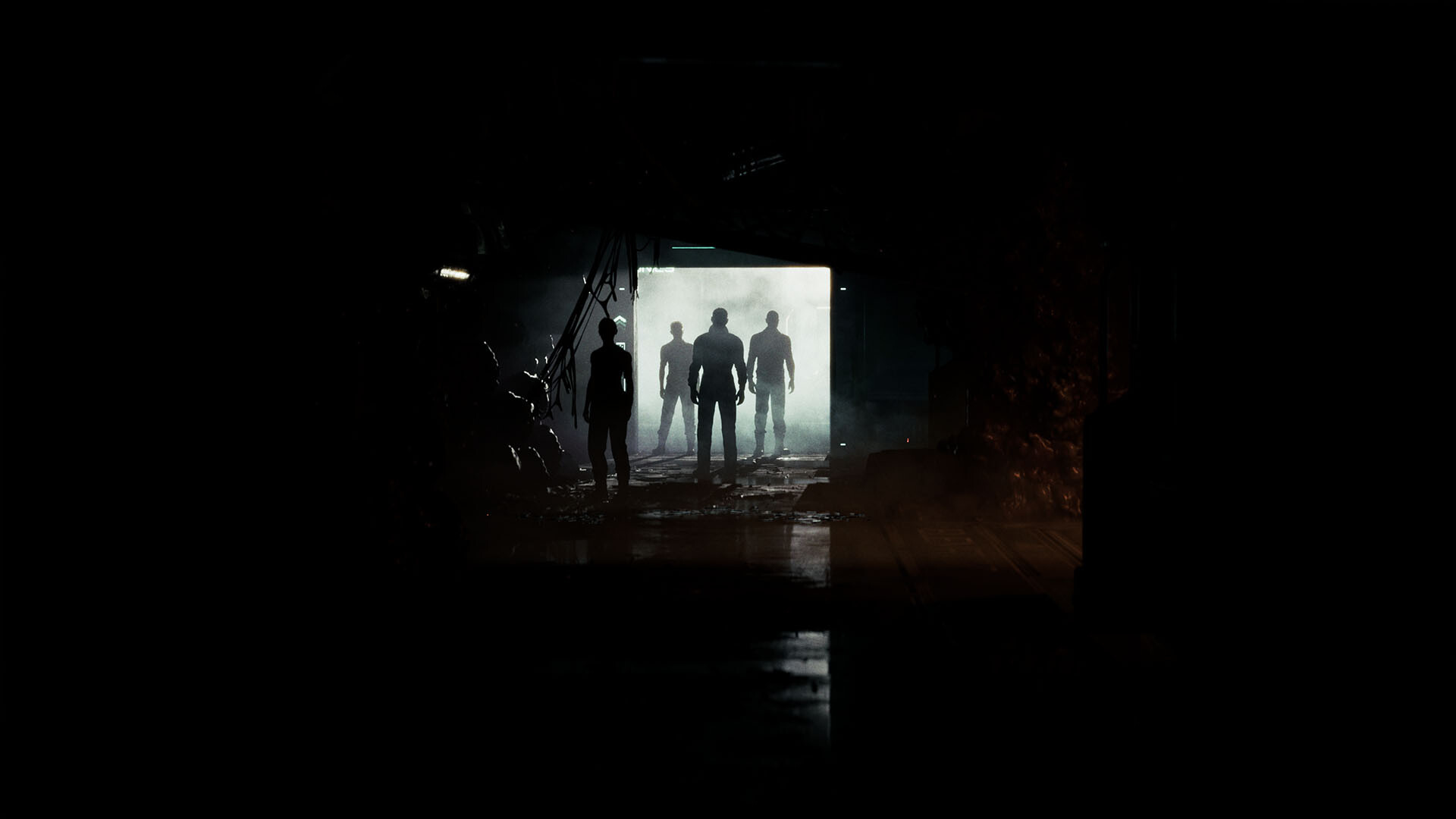 Directive 8020 screenshot
