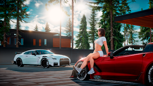 Drive Zone Online 6