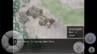 Fear and Hunger APK screenshot