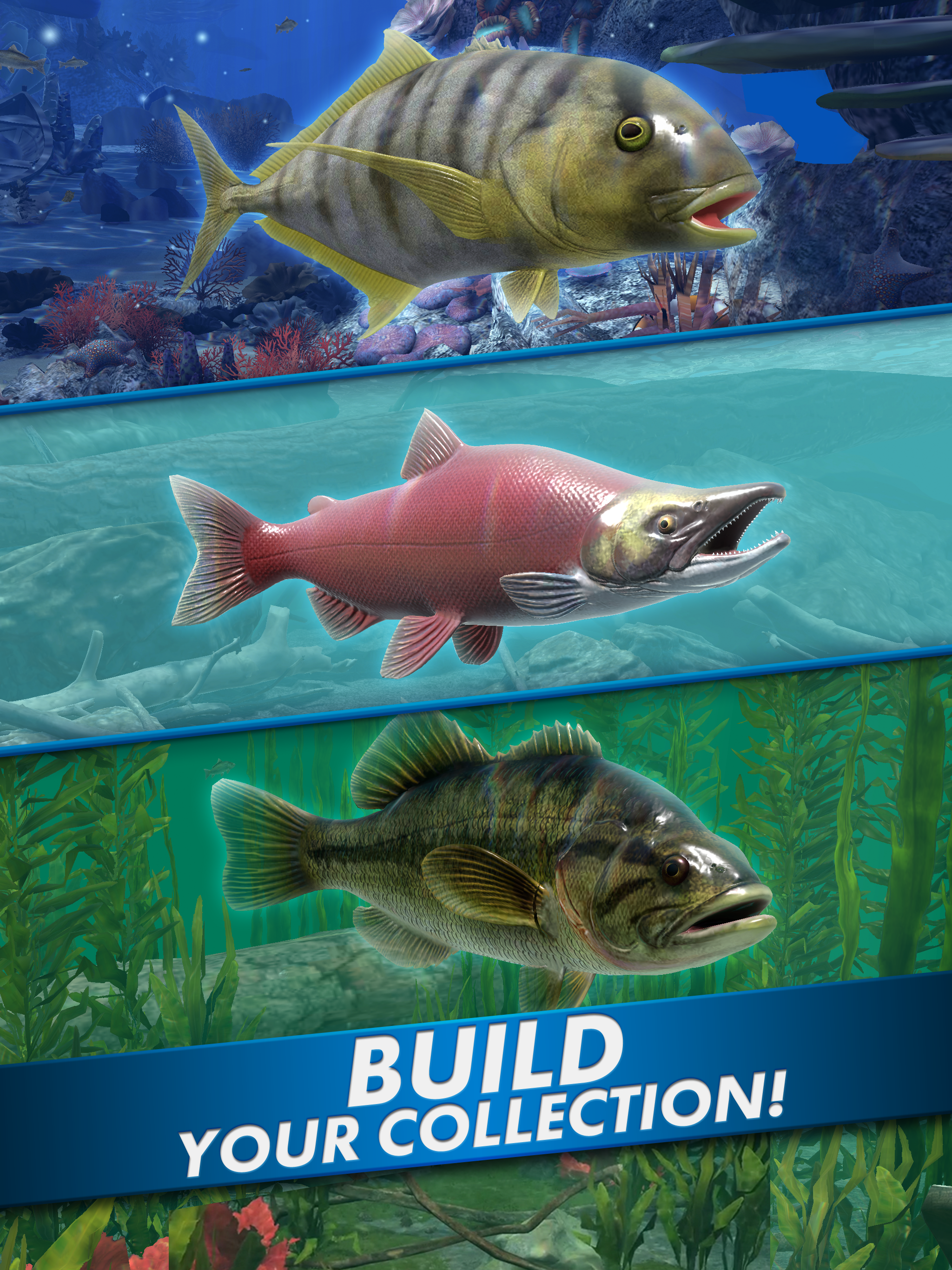 Go Fishing Fish Game APK screenshot