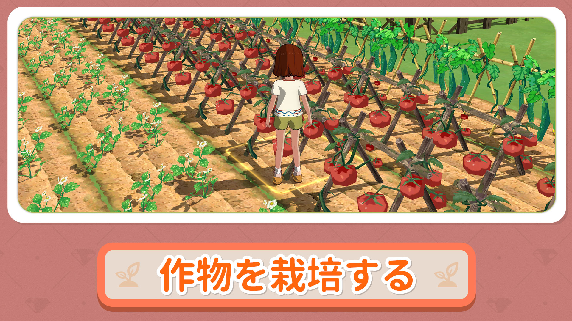 Forest Life screenshot