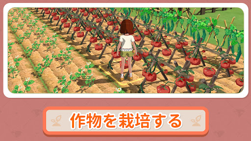 森こもり生活 5