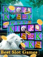Lion 777 Fire Jackpot - Slots screenshot