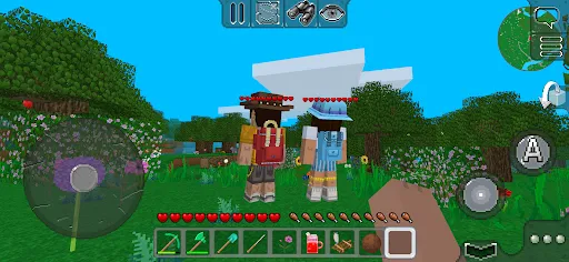 MultiCraft APK screenshot