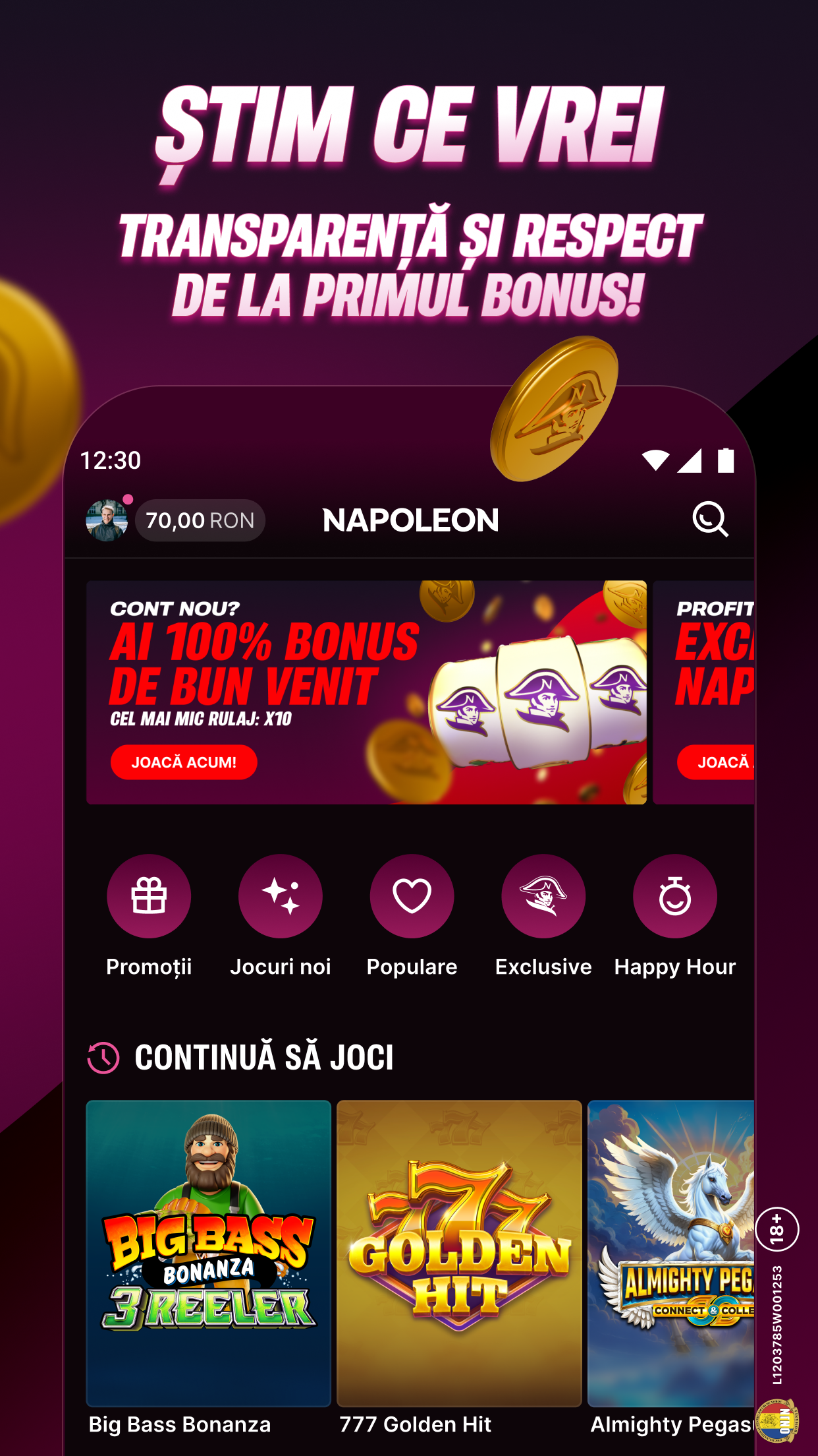 Napoleon Games screenshot