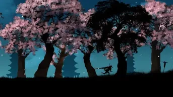 Ninja Arashi APK screenshot