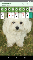 Patience Revisited Solitaire APK screenshot