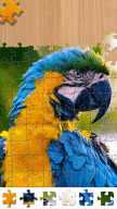 Pop Jigsaw - Jigsaw Puzzles APK screenshot