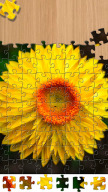 Pop Jigsaw - Jigsaw Puzzles APK screenshot