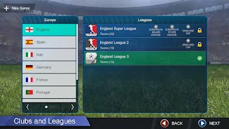 Pro League Soccer 6