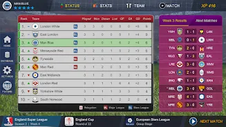 Pro League Soccer 8