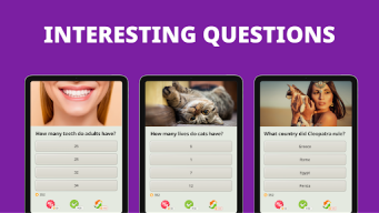 QuizzLand APK screenshot