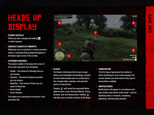 RDR2: Companion 10