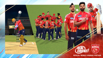 Real Cricket Swipe APK screenshot