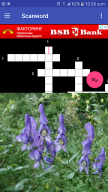 Scanword APK screenshot
