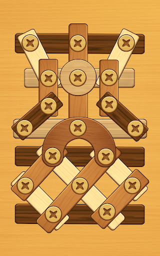 Screw Puzzle: Wood Nut & Bolt™ 13
