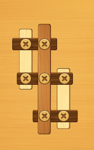 Screw Puzzle: Wood Nut & Bolt™ 17