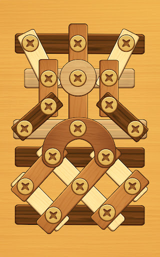 Screw Puzzle: Wood Nut & Bolt™ 21