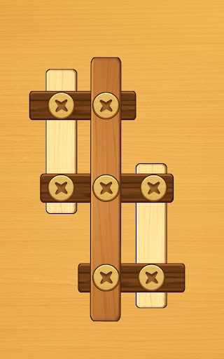 Screw Puzzle: Wood Nut & Bolt™ 9