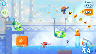 Shark Dash 12