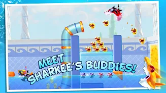 Shark Dash 2