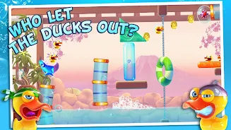 Shark Dash 9