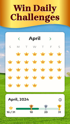 Solitaire for Seniors Game APK screenshot