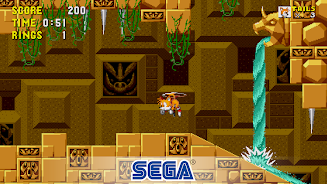 Sonic 3