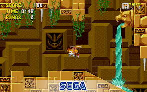 Sonic 8