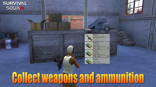 Survival Squad:  Commando Miss 4
