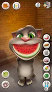 Talking Tom Cat 5