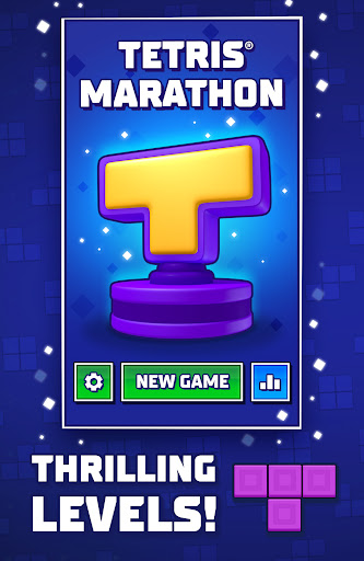 Tetris® 13