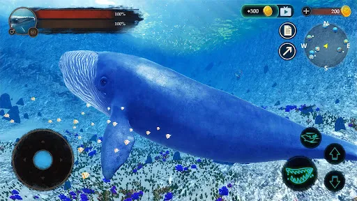 The Blue Whale APK 2