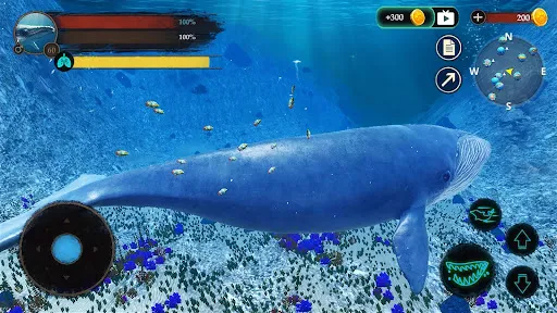 The Blue Whale APK 4