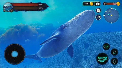 The Blue Whale APK 12