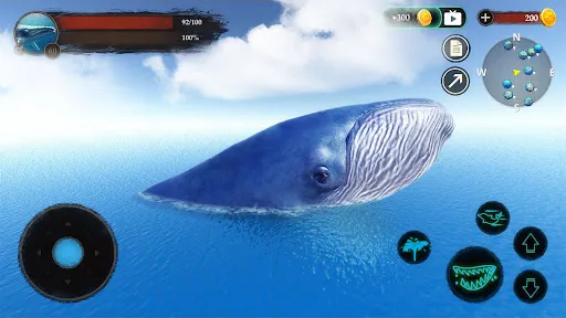 The Blue Whale APK 17