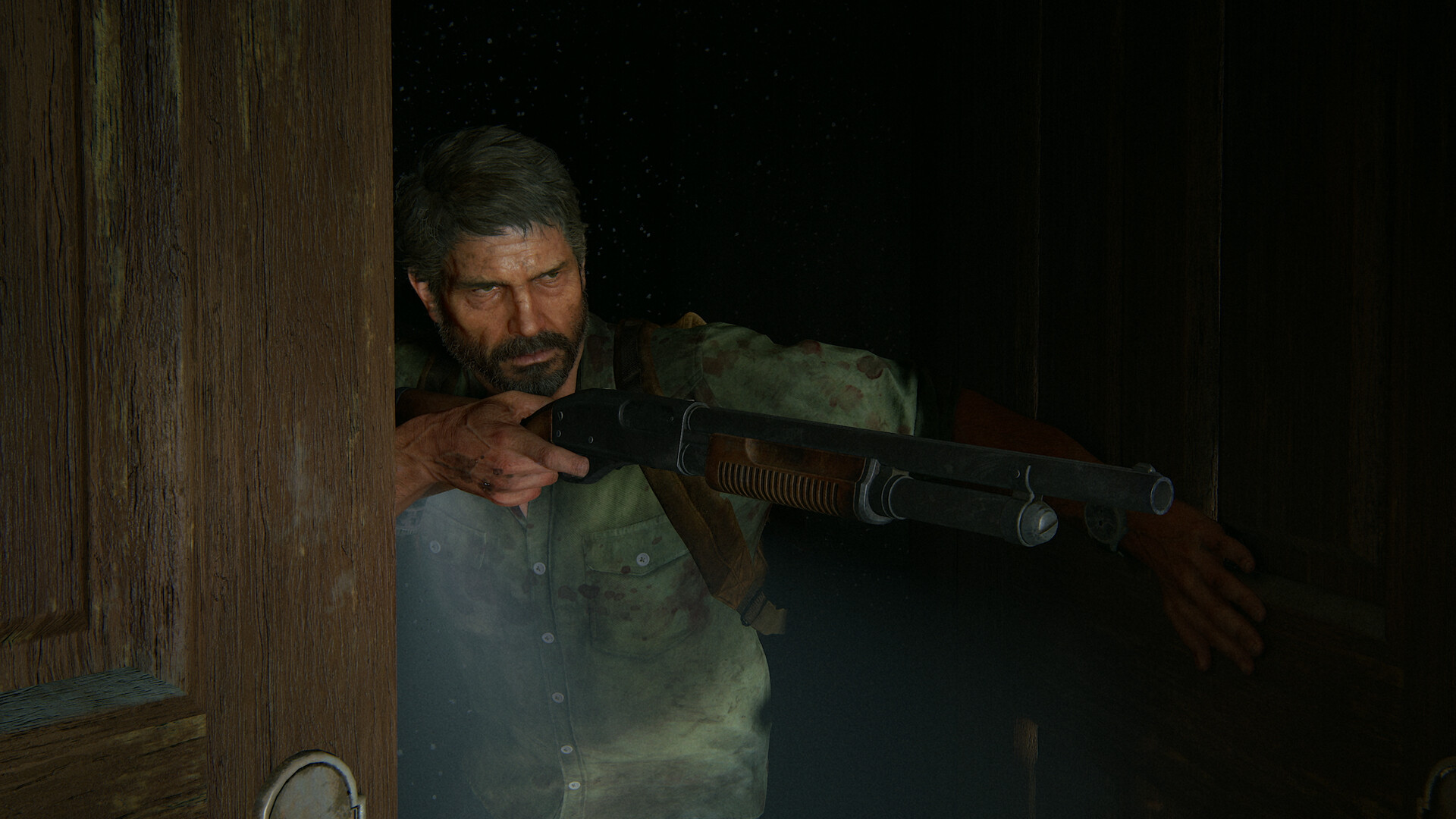 The Last of Us™ Part II Remastered screenshot