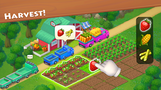 Township 11