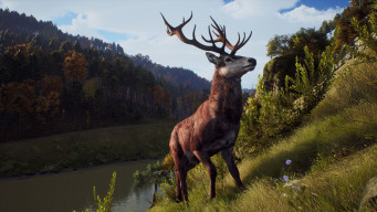 Way of the Hunter Mobile APK screenshot