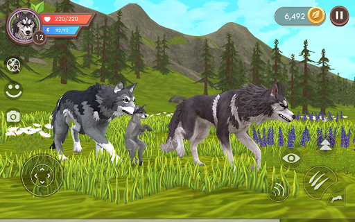 WildCraft 6