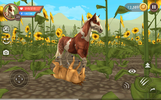 WildCraft 9