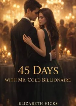 45days With Mr Cold Billionaire  Novel Cover