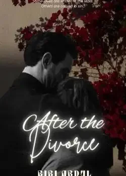 After Divorce Novel Cover