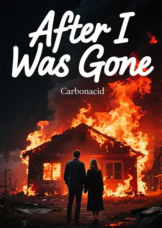 After I Was Gone Novel Cover