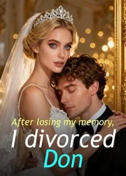 After losing my memory, I divorced Don Novel Cover