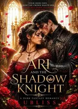 Ari and the shadow knight  Novel Cover