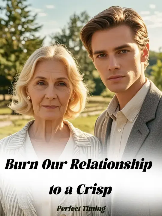 Burn Our Relationship to a Crisp Novel Cover