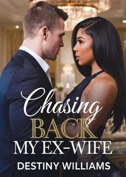 Chasing back my ex wife Novel Cover