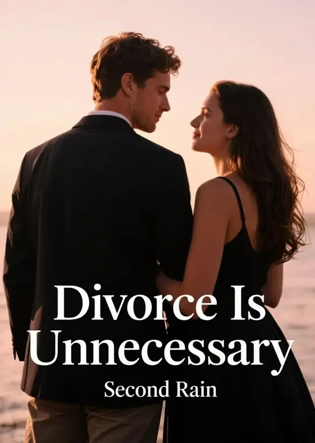 Divorce Is Unnecessary Novel Cover